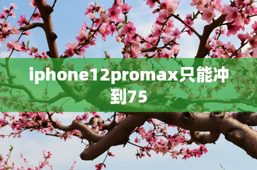 iphone12promax只能冲到75