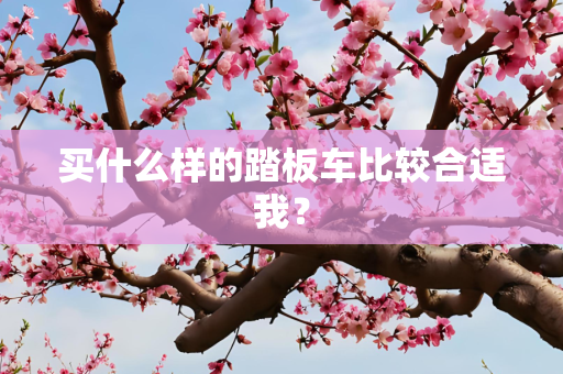 买什么样的踏板车比较合适我？