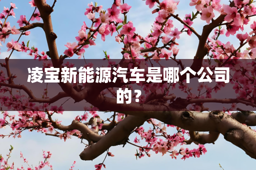 凌宝新能源汽车是哪个公司的？