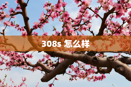 308s 怎么样