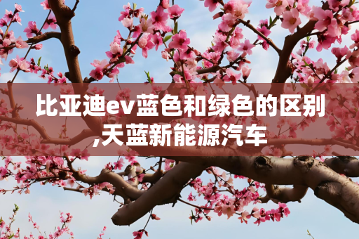 比亚迪ev蓝色和绿色的区别,天蓝新能源汽车