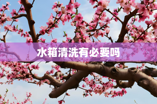 水箱清洗有必要吗