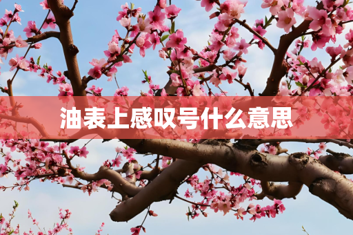 油表上感叹号什么意思