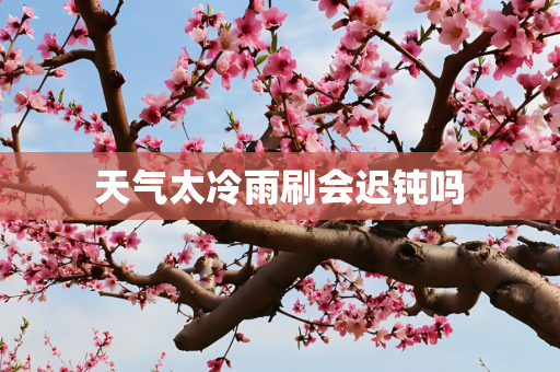 天气太冷雨刷会迟钝吗