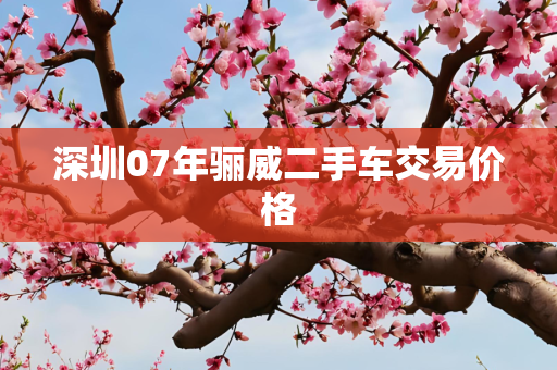 深圳07年骊威二手车交易价格
