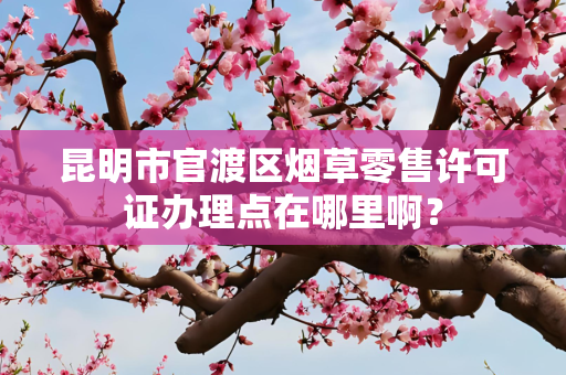 昆明市官渡区烟草零售许可证办理点在哪里啊？