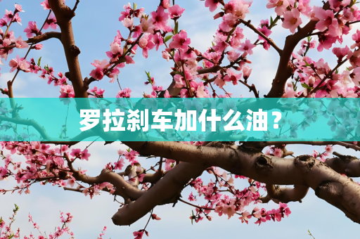 罗拉刹车加什么油？