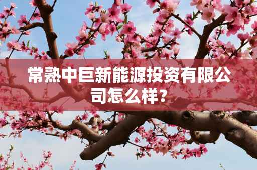 常熟中巨新能源投资有限公司怎么样？