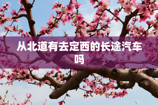 从北道有去定西的长途汽车吗