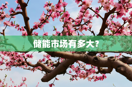 储能市场有多大？