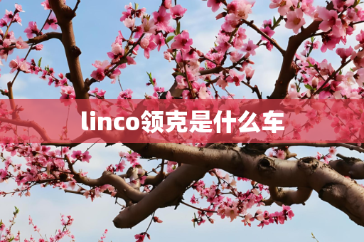 linco领克是什么车