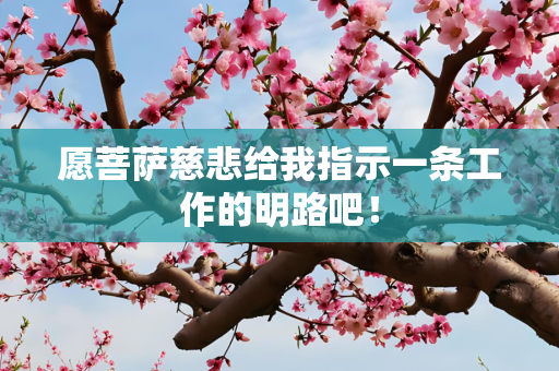 愿菩萨慈悲给我指示一条工作的明路吧！