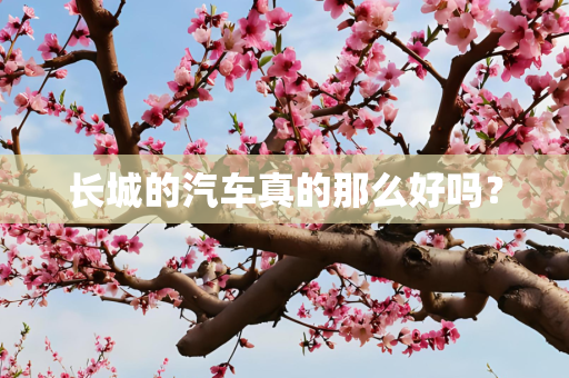 长城的汽车真的那么好吗？