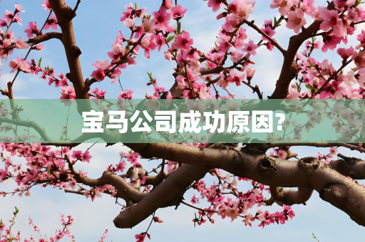 宝马公司成功原因?
