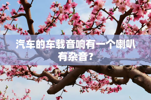 汽车的车载音响有一个喇叭有杂音？