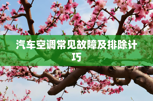 汽车空调常见故障及排除计巧