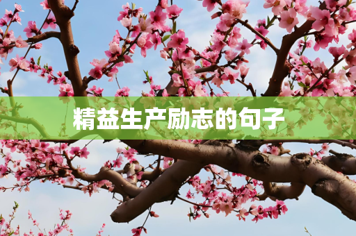 精益生产励志的句子