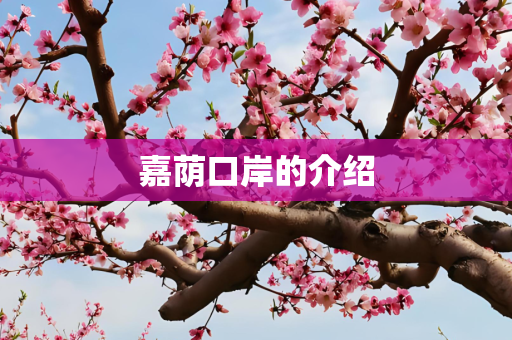 嘉荫口岸的介绍