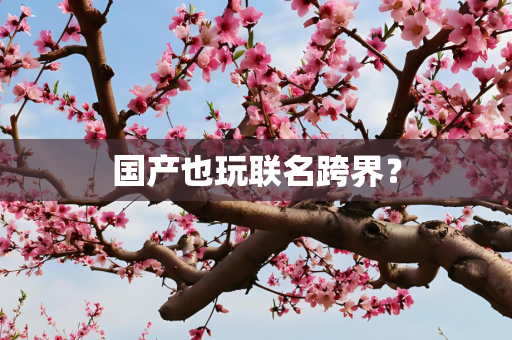 国产也玩联名跨界？
