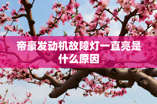 帝豪发动机故障灯一直亮是什么原因