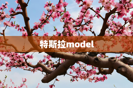 特斯拉model