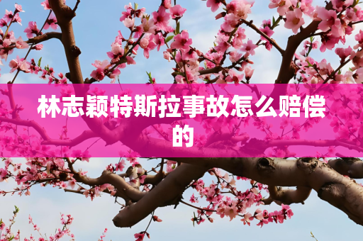 林志颖特斯拉事故怎么赔偿的