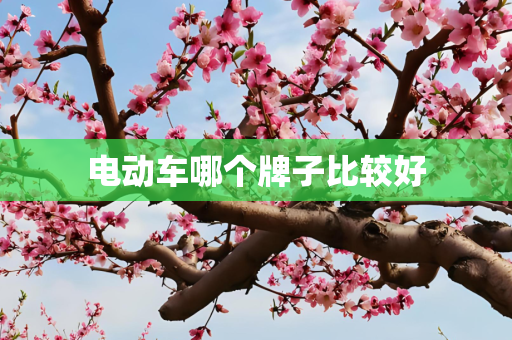 电动车哪个牌子比较好