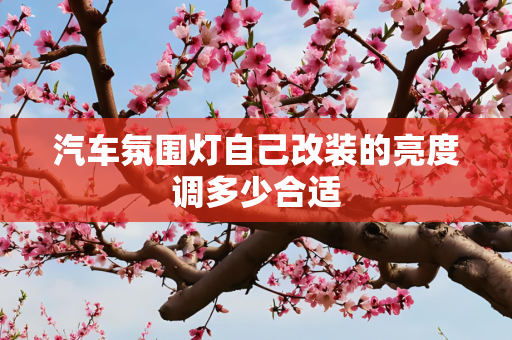 汽车氛围灯自己改装的亮度调多少合适