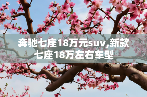 奔驰七座18万元suv,新款七座18万左右车型