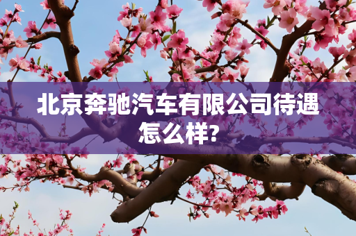 北京奔驰汽车有限公司待遇怎么样?
