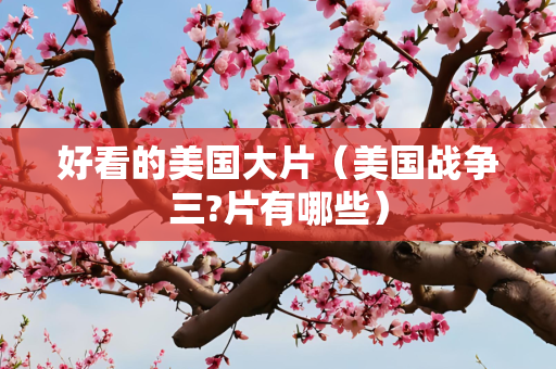 好看的美国大片（美国战争三?片有哪些）