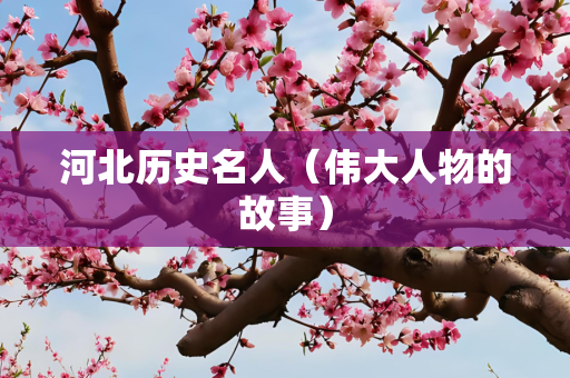 河北历史名人（伟大人物的故事）