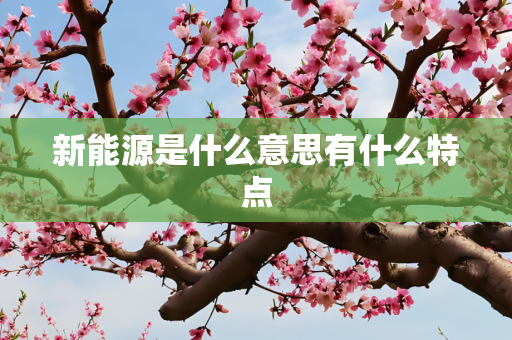 新能源是什么意思有什么特点