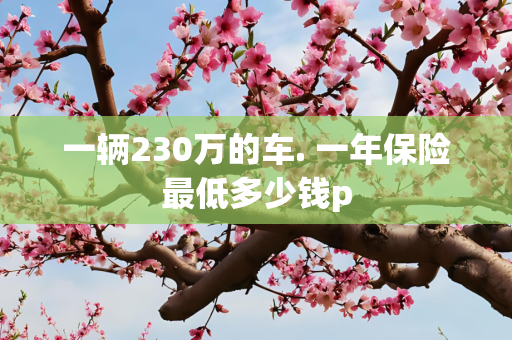 一辆230万的车. 一年保险最低多少钱p