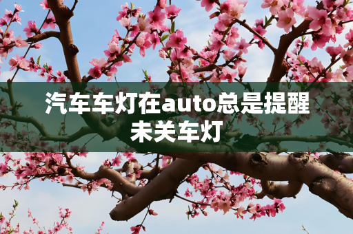 汽车车灯在auto总是提醒未关车灯