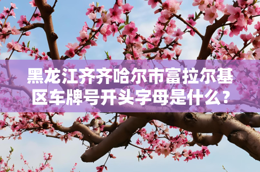 黑龙江齐齐哈尔市富拉尔基区车牌号开头字母是什么？