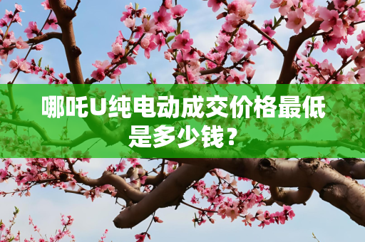 哪吒U纯电动成交价格最低是多少钱？