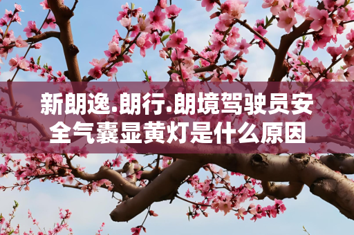 新朗逸.朗行.朗境驾驶员安全气囊显黄灯是什么原因