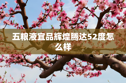 五粮液宜品辉煌腾达52度怎么样