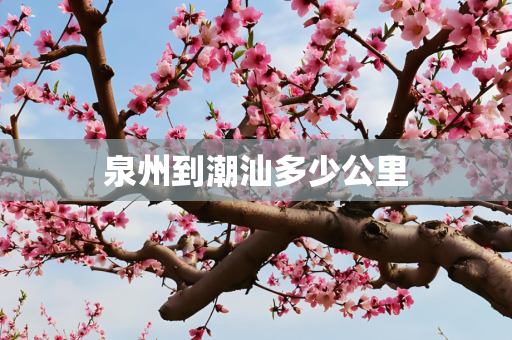 泉州到潮汕多少公里