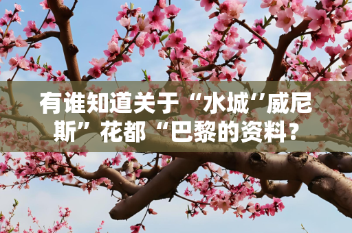 有谁知道关于“水城‘’威尼斯”花都“巴黎的资料？