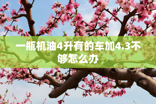 一瓶机油4升有的车加4.3不够怎么办