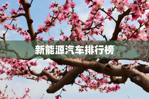 新能源汽车排行榜