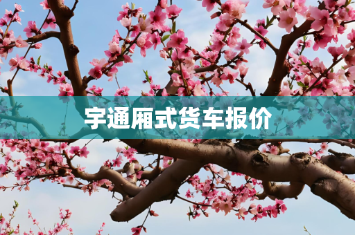 宇通厢式货车报价