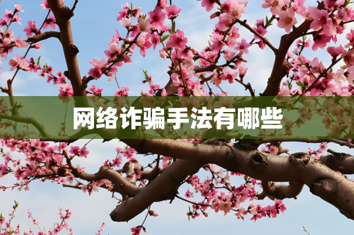 网络诈骗手法有哪些