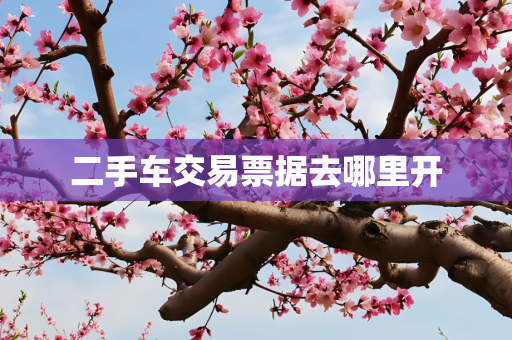 二手车交易票据去哪里开