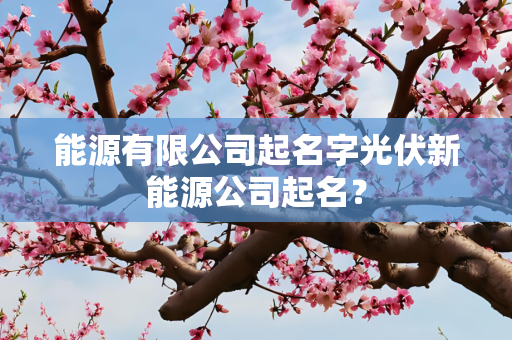 能源有限公司起名字光伏新能源公司起名？