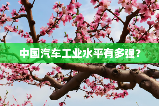 中国汽车工业水平有多强？