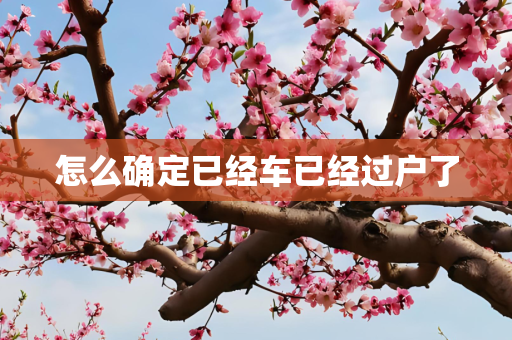 怎么确定已经车已经过户了