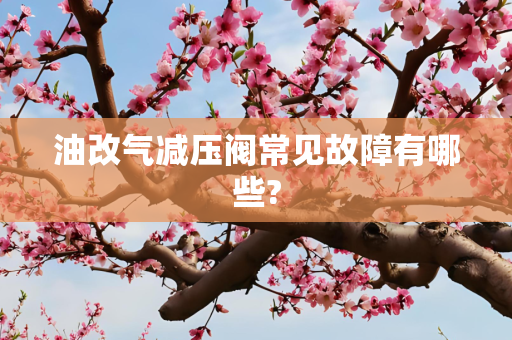 油改气减压阀常见故障有哪些?